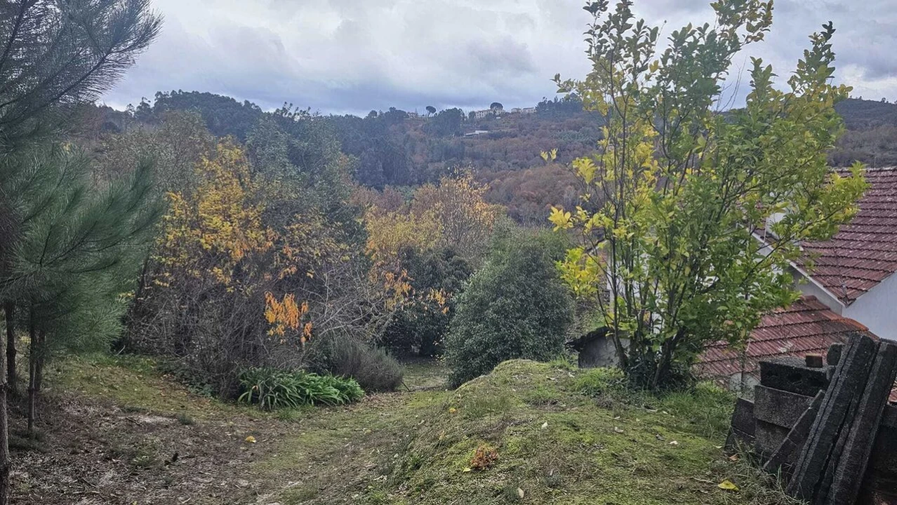 Quinta T5 para Venda em Lufrei Foto 24