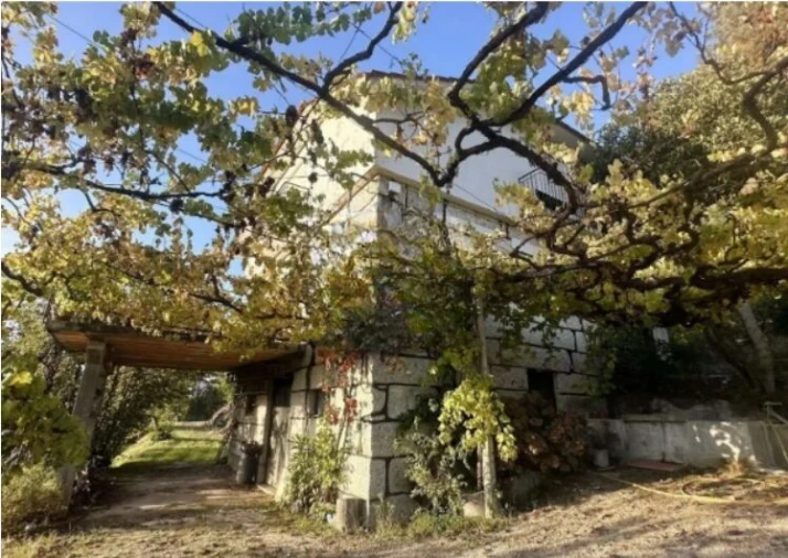 Quinta T5 para Venda em Lufrei Foto 16