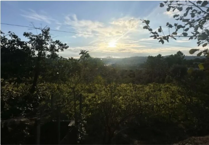 Quinta T5 para Venda em Lufrei Foto 21