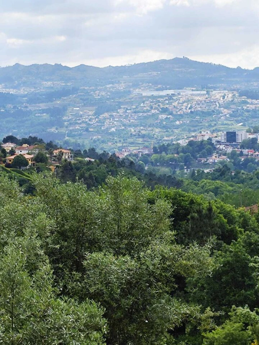 Quinta T5 para Venda em Lufrei Foto 25