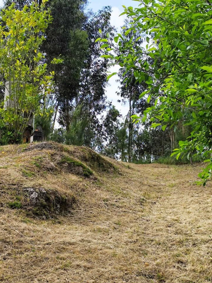 Quinta T5 para Venda em Lufrei Foto 33