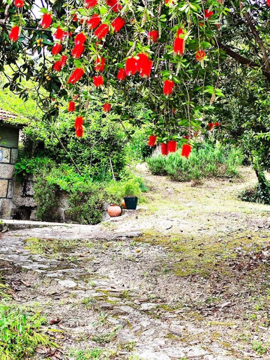 Quinta T5 para Venda em Lufrei Foto 3