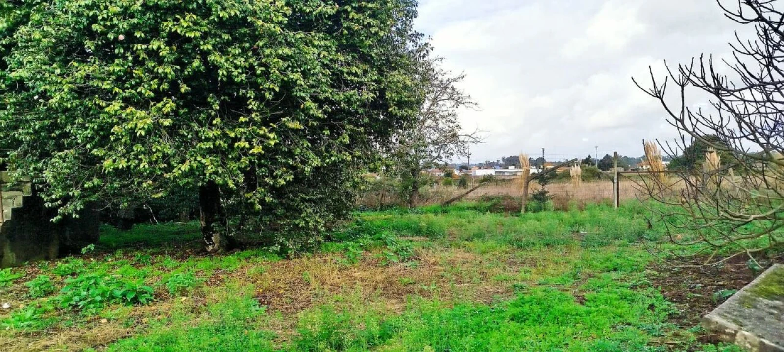 Moradia T5 para Venda em Avanca Foto 24