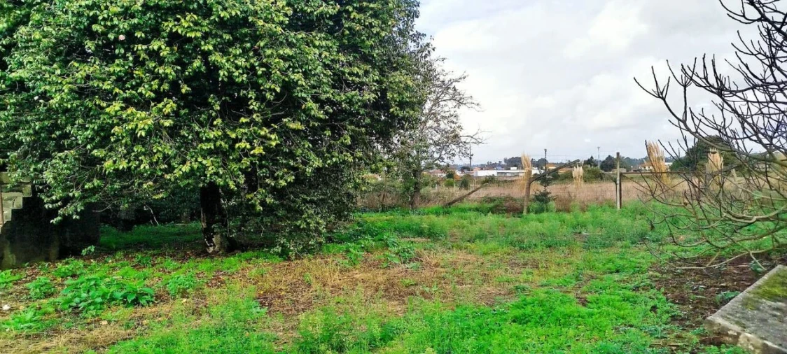 Moradia T5 para Venda em Avanca Foto 24