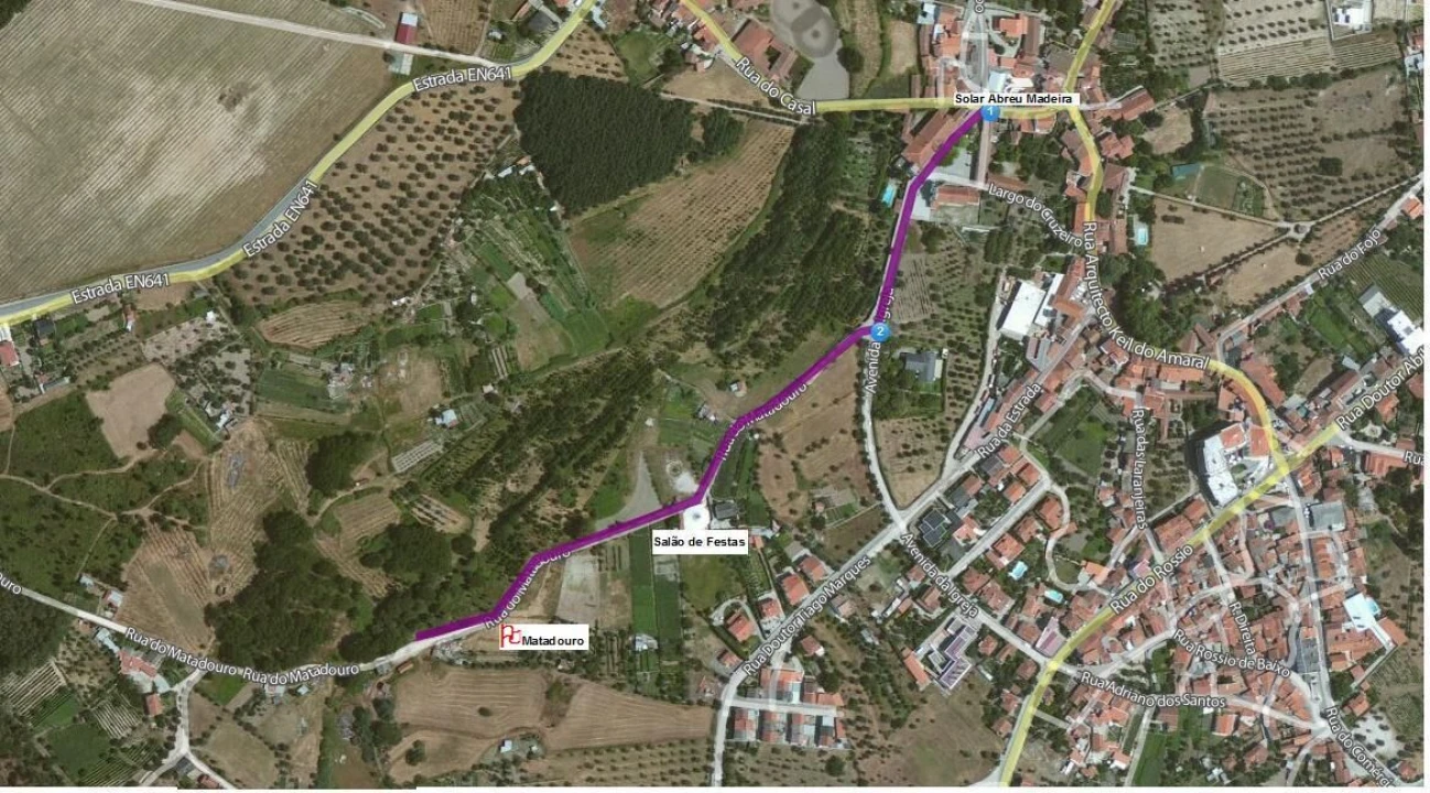 Terreno para Venda em Canas de Senhorim Foto 1