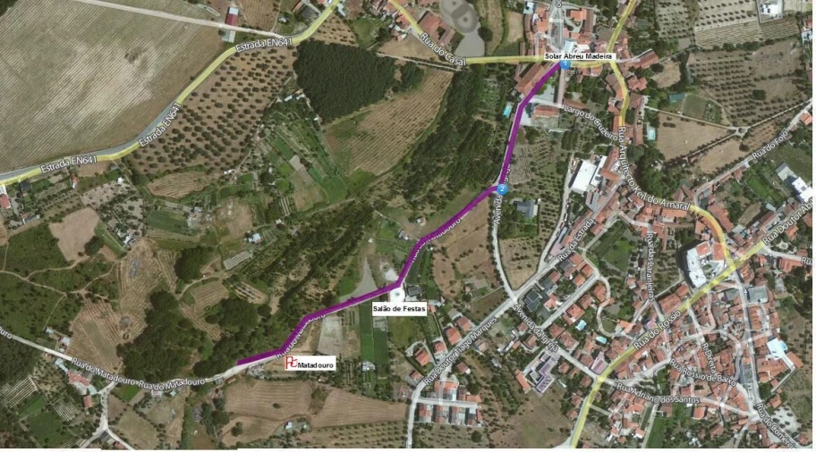 Terreno para Venda em Canas de Senhorim Foto 1