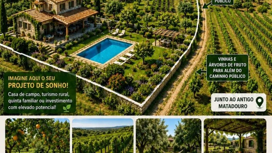 Terreno para Venda em Canas de Senhorim
