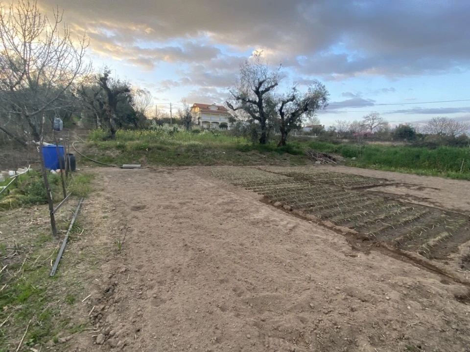Terreno para Venda em Lajeosa do Dão Foto 5