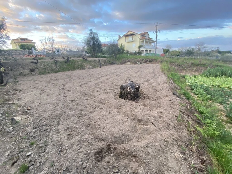 Terreno para Venda em Lajeosa do Dão Foto 7