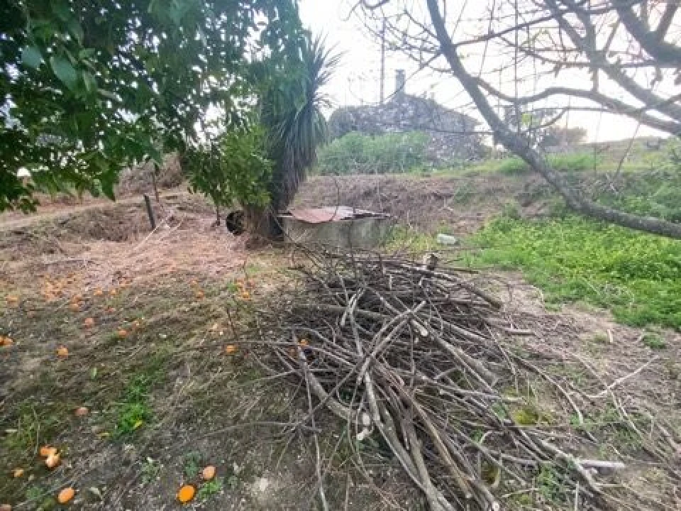 Terreno para Venda em Lajeosa do Dão Foto 8