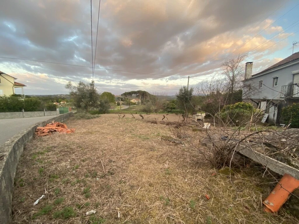 Terreno para Venda em Lajeosa do Dão Foto 17