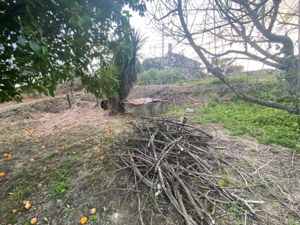 Terreno para Venda em Lajeosa do Dão Foto 19