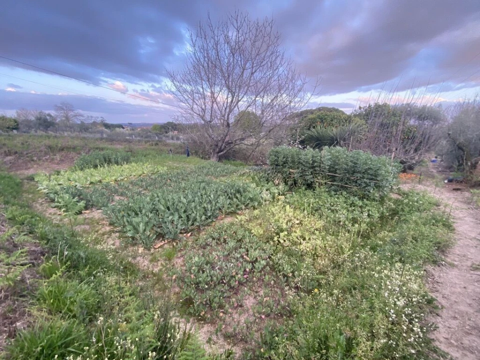 Terreno para Venda em Lajeosa do Dão Foto 20