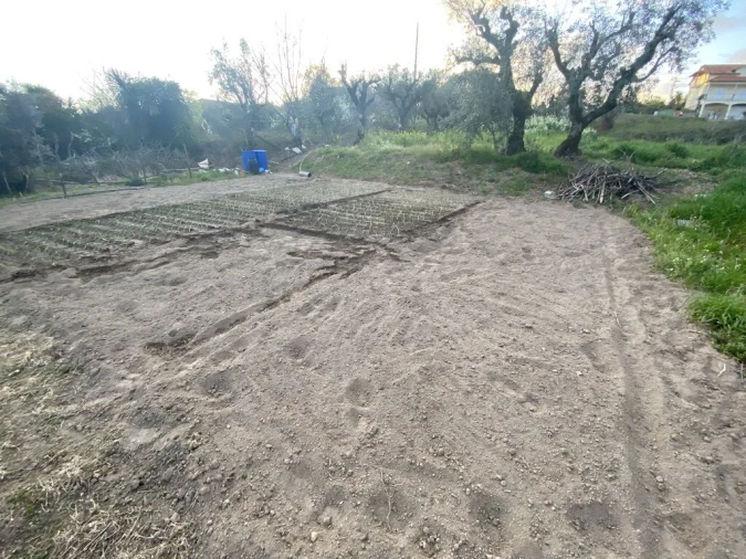 Terreno para Venda em Lajeosa do Dão Foto 3