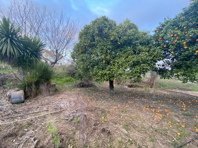 Terreno para Venda em Lajeosa do Dão Foto 6