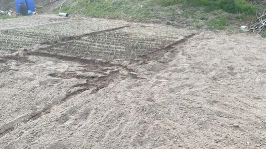 Terreno para Venda em Lajeosa do Dão Foto 10
