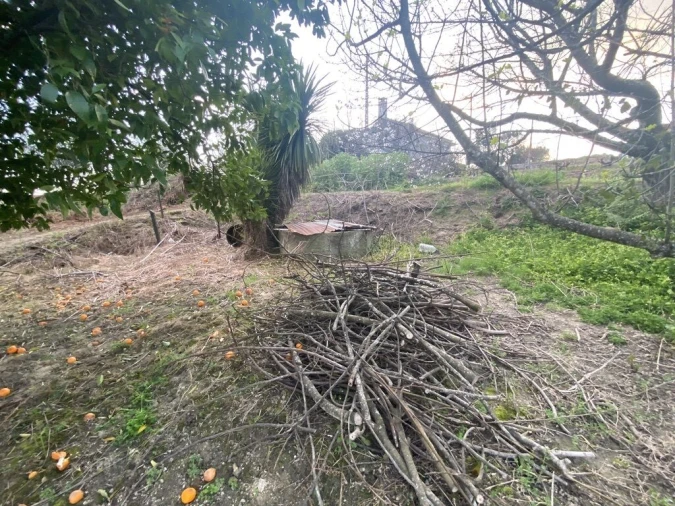 Terreno para Venda em Lajeosa do Dão Foto 19