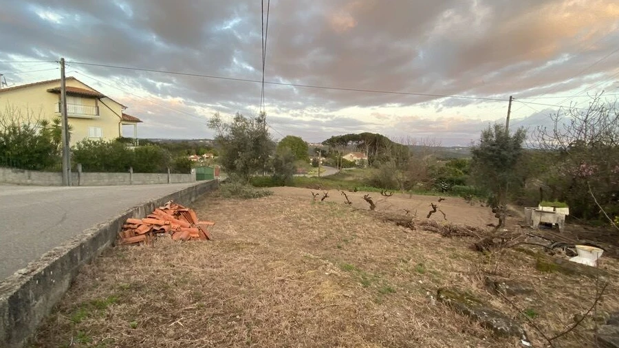 Terreno para Venda em Lajeosa do Dão