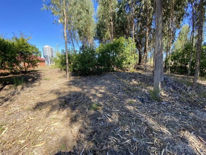 Terreno para Venda em Lajeosa do Dão Foto 1