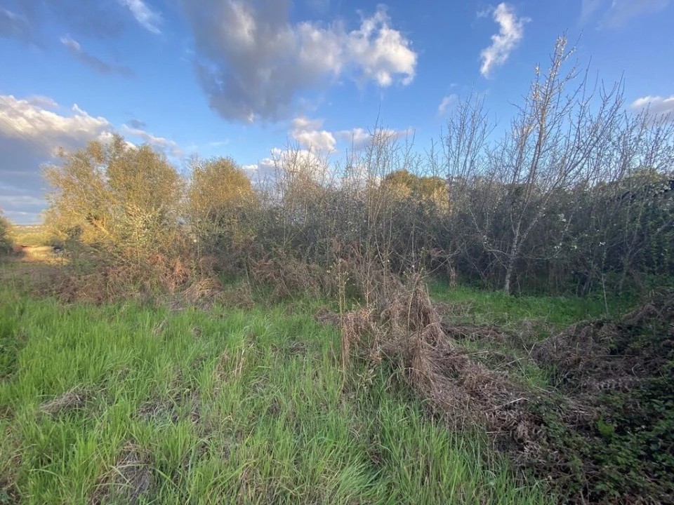 Terreno para Venda em Lajeosa do Dão Foto 1