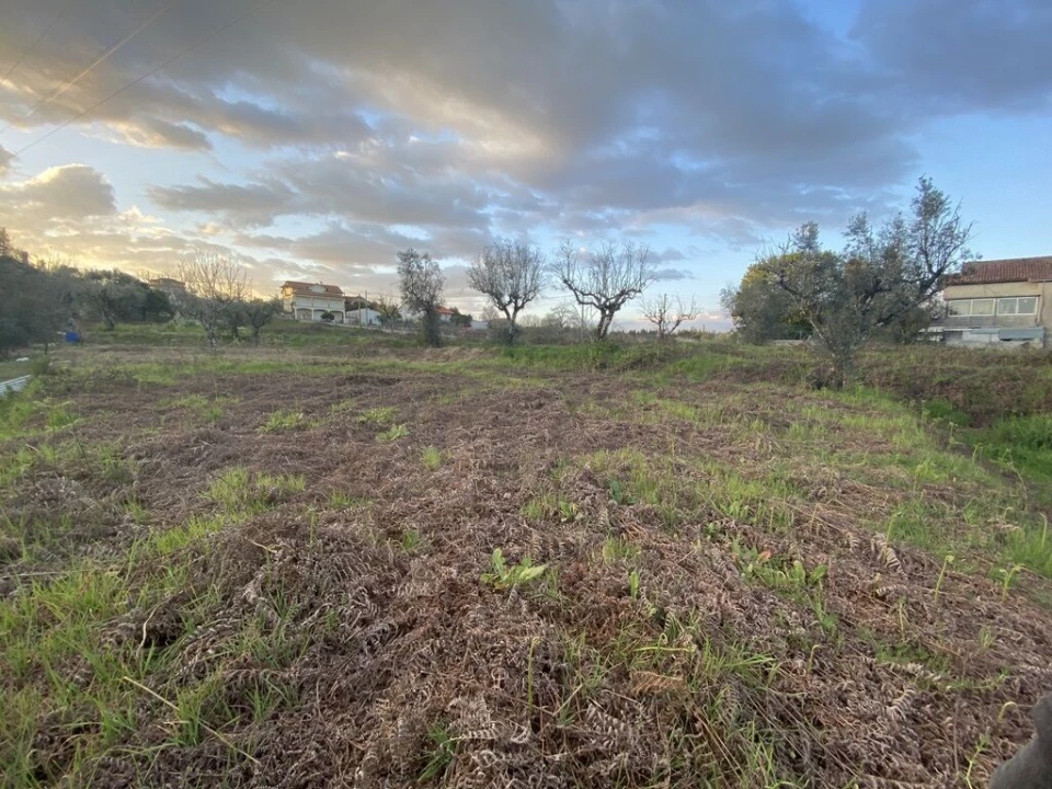 Terreno para Venda em Lajeosa do Dão Foto 2