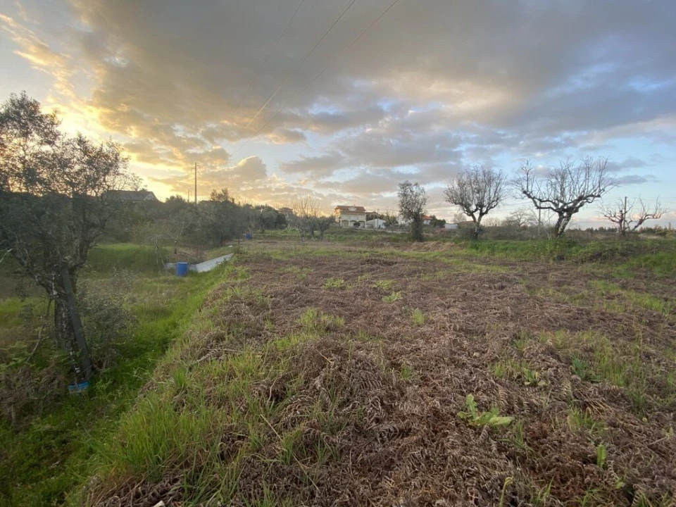 Terreno para Venda em Lajeosa do Dão Foto 8