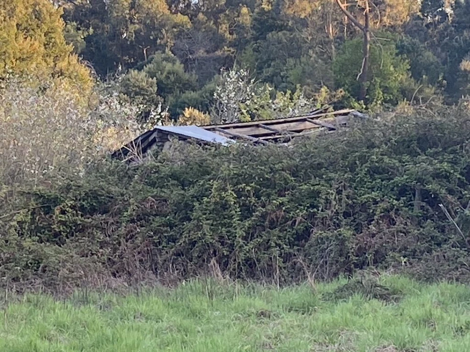 Terreno para Venda em Lajeosa do Dão Foto 10