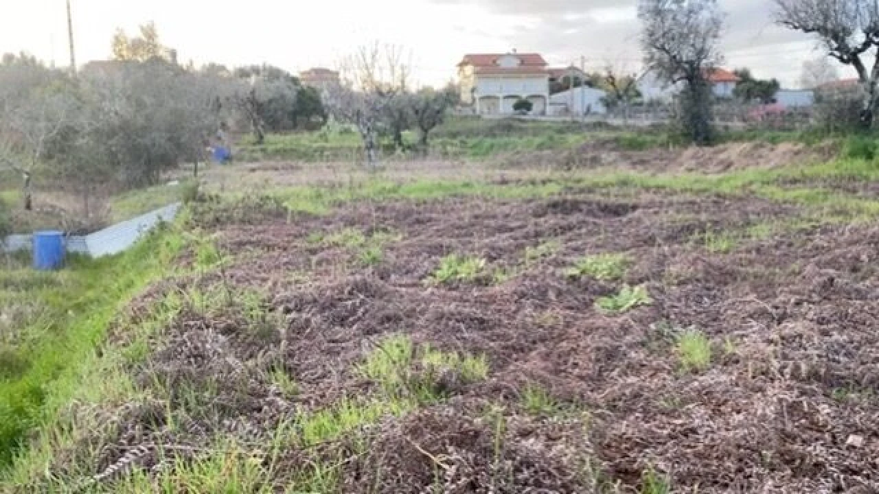 Terreno para Venda em Lajeosa do Dão Foto 12