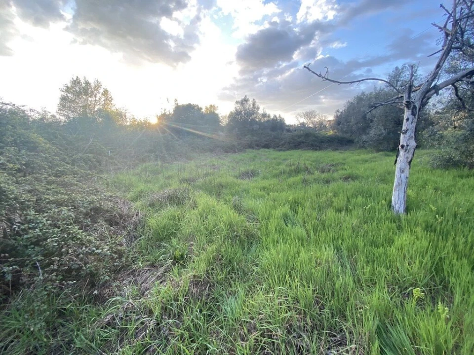 Terreno para Venda em Lajeosa do Dão Foto 16