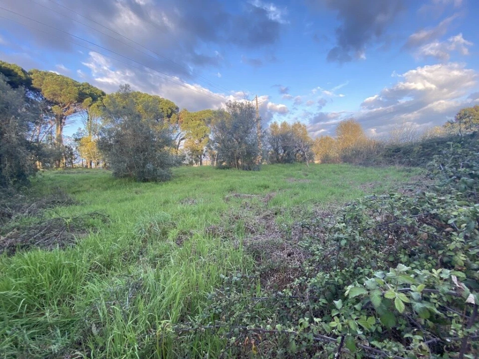 Terreno para Venda em Lajeosa do Dão Foto 17