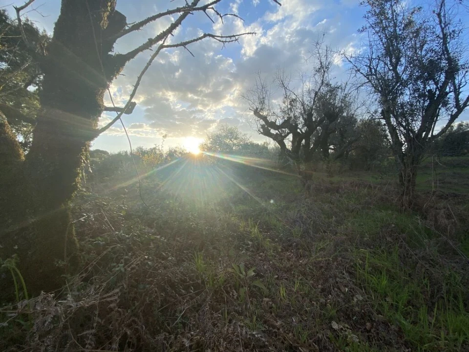 Terreno para Venda em Lajeosa do Dão Foto 18