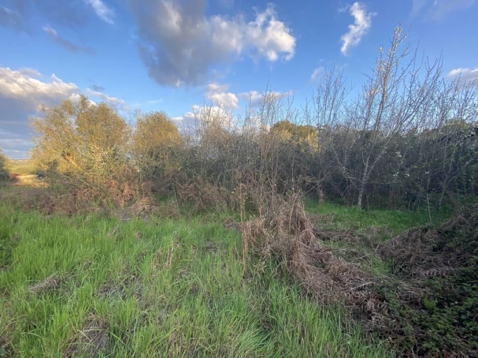 Terreno para Venda em Lajeosa do Dão