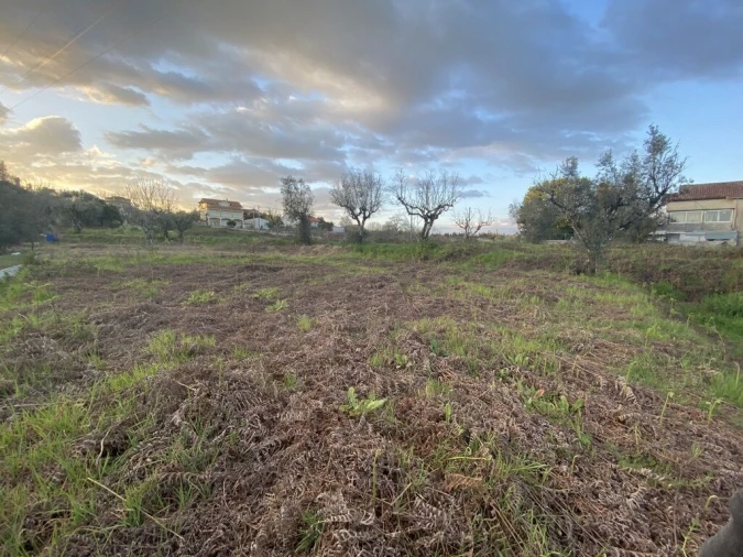 Terreno para Venda em Lajeosa do Dão Foto 2
