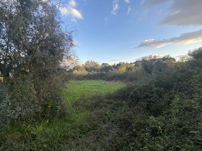 Terreno para Venda em Lajeosa do Dão Foto 4