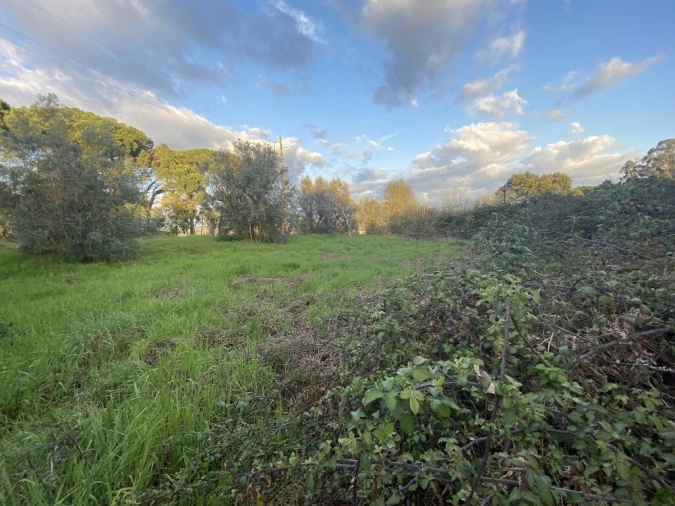 Terreno para Venda em Lajeosa do Dão Foto 15