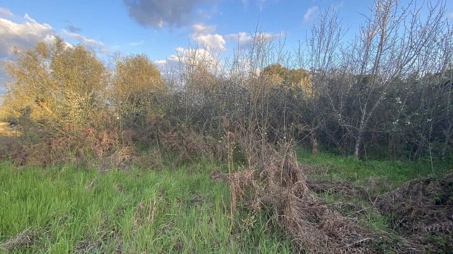 Terreno para Venda em Lajeosa do Dão