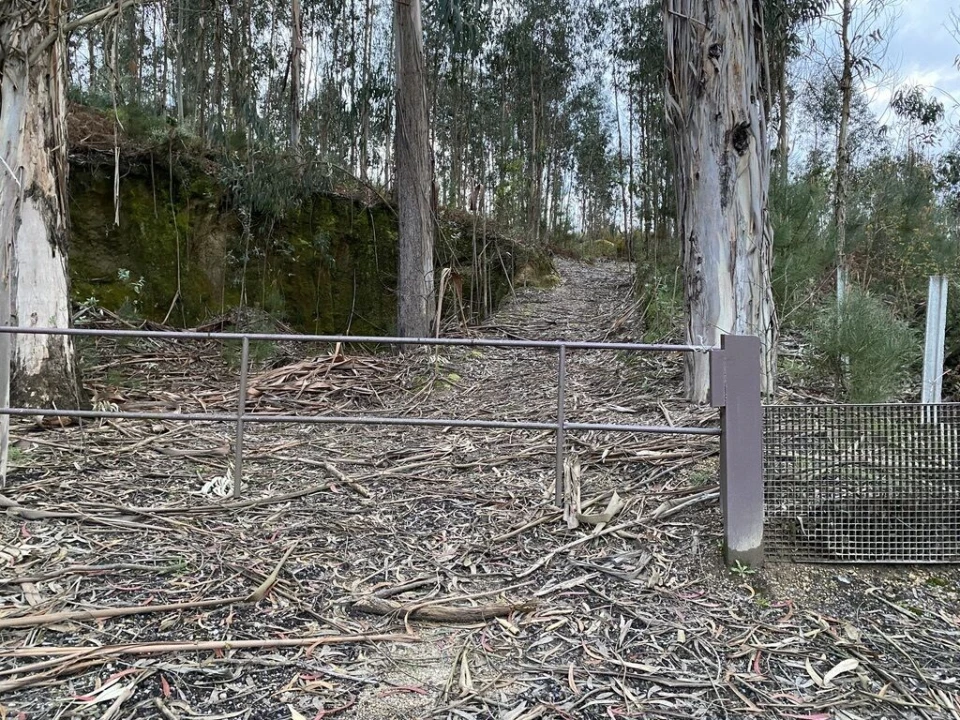 Terreno para Venda em Lajeosa do Dão Foto 10