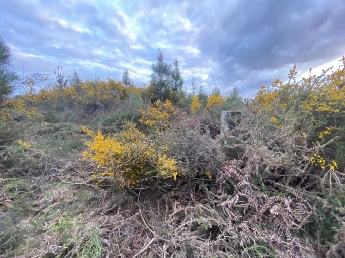 Terreno para Venda em Lajeosa do Dão Foto 3