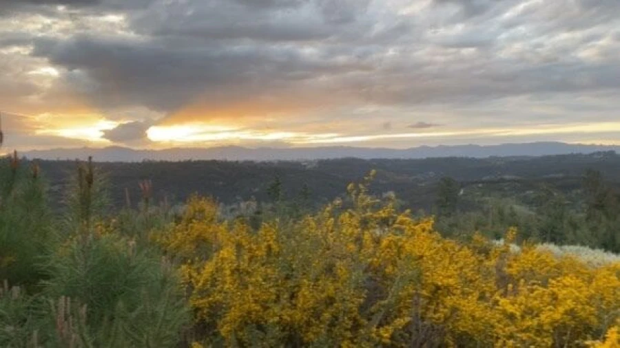 Terreno para Venda em Lajeosa do Dão Foto 4