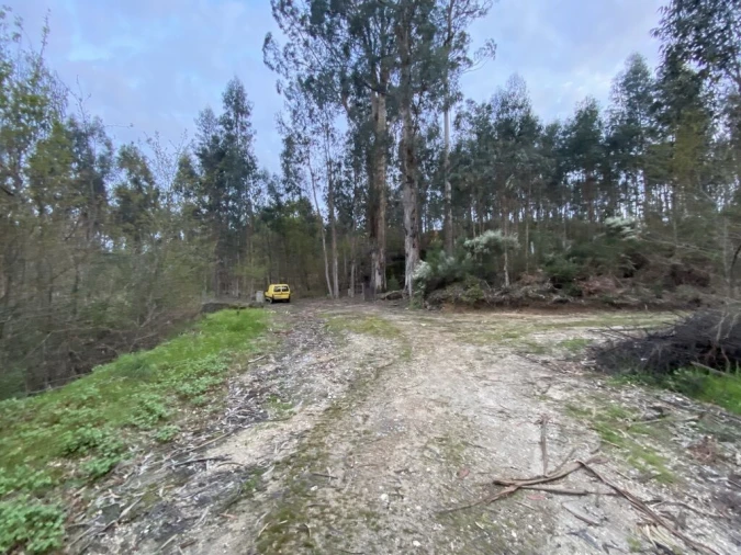 Terreno para Venda em Lajeosa do Dão Foto 8
