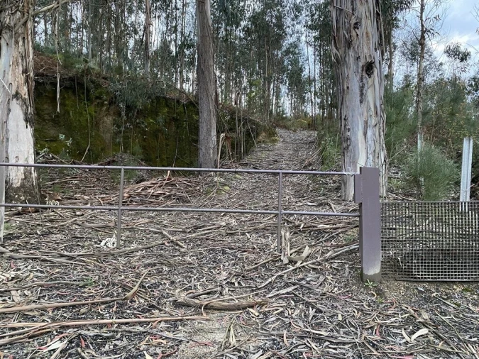 Terreno para Venda em Lajeosa do Dão Foto 10