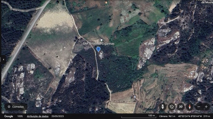 Terreno para Venda em Lajeosa do Dão Foto 15