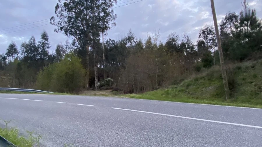 Terreno para Venda em Lajeosa do Dão