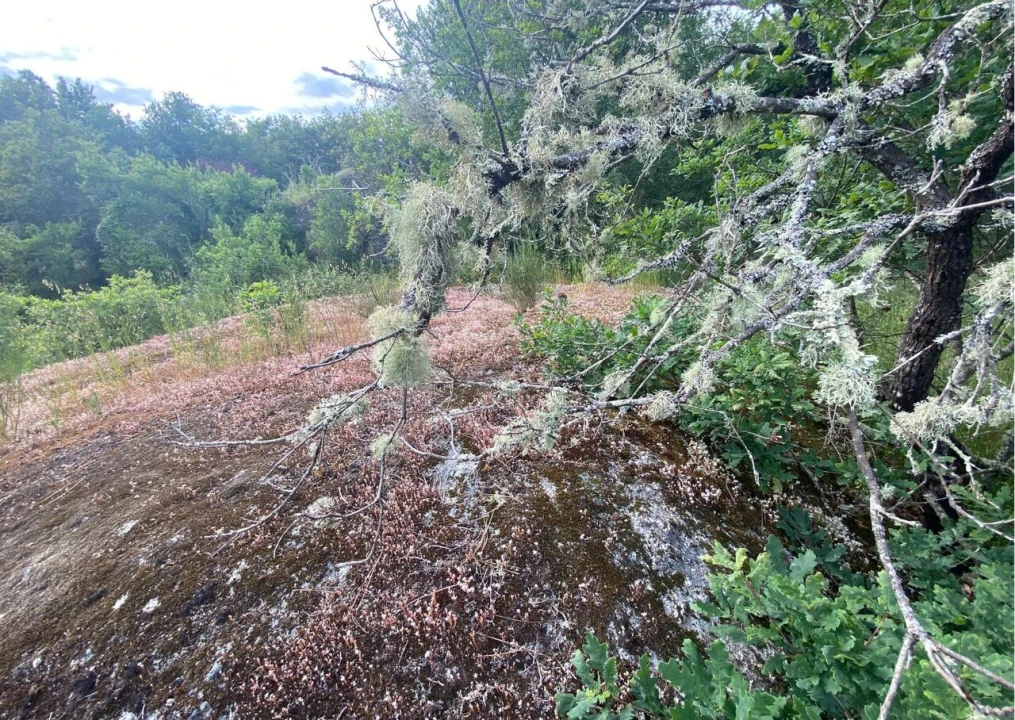 Moradia T2 para Venda em Ranhados Foto 2