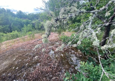 Moradia T2 para Venda em Ranhados