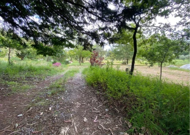 Moradia T2 para Venda em Ranhados