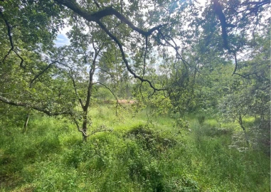 Moradia T2 para Venda em Ranhados