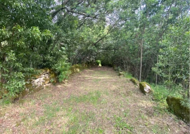 Moradia T2 para Venda em Ranhados
