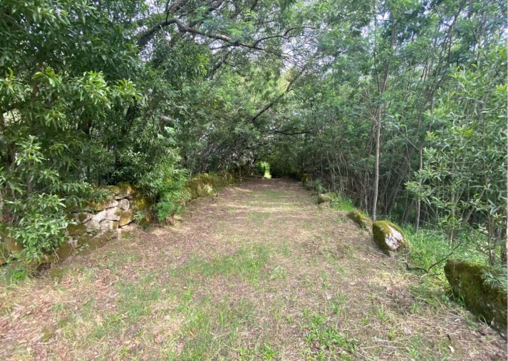 Moradia T2 para Venda em Ranhados Foto 38