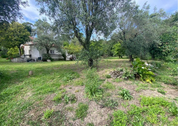 Moradia T2 para Venda em Ranhados Foto 39